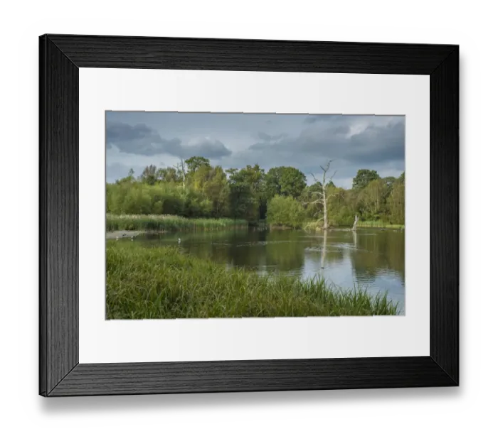 Framed Print : View of parkland lake created from dammed river, Clumber Lake, River Poulter, Clumber Park, Nottinghamshire, England Framed Print : View of parkland lake created from dammed river, Clumber Lake, River Poulter, Clumber Park, Nottinghamshire, England