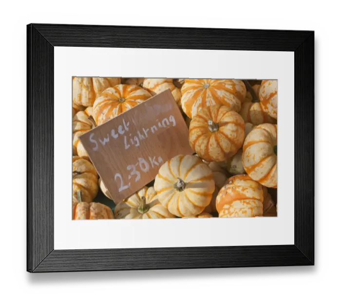 Framed Print : Winter Squash (Cucurbita pepo) Sweet Lightning, fruit and board, West Sussex, England, October Framed Print : Winter Squash (Cucurbita pepo) Sweet Lightning, fruit and board, West Sussex, England, October