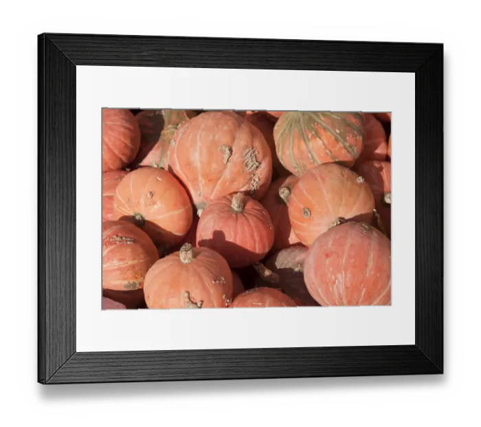 Framed Print : Winter Squash (Cucurbita maxima) Golden Nugget, fruit, West Sussex, England, October Framed Print : Winter Squash (Cucurbita maxima) Golden Nugget, fruit, West Sussex, England, October