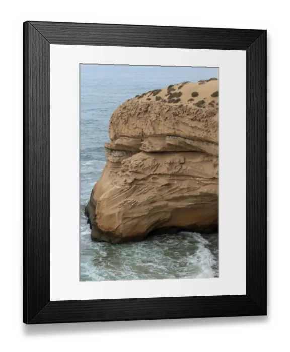 Framed Print : Northern Bald Ibis (Geronticus eremita) colonial nesting site, on coastal cliff ledges, Morocco, November Framed Print : Northern Bald Ibis (Geronticus eremita) colonial nesting site, on coastal cliff ledges, Morocco, November