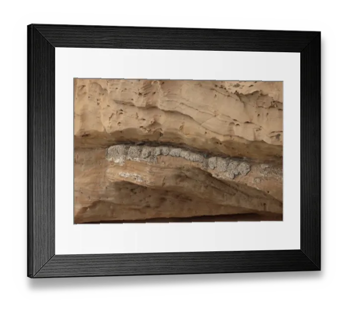 Framed Print : Northern Bald Ibis (Geronticus eremita) colonial nesting site, on coastal cliff ledge, Morocco, November Framed Print : Northern Bald Ibis (Geronticus eremita) colonial nesting site, on coastal cliff ledge, Morocco, November
