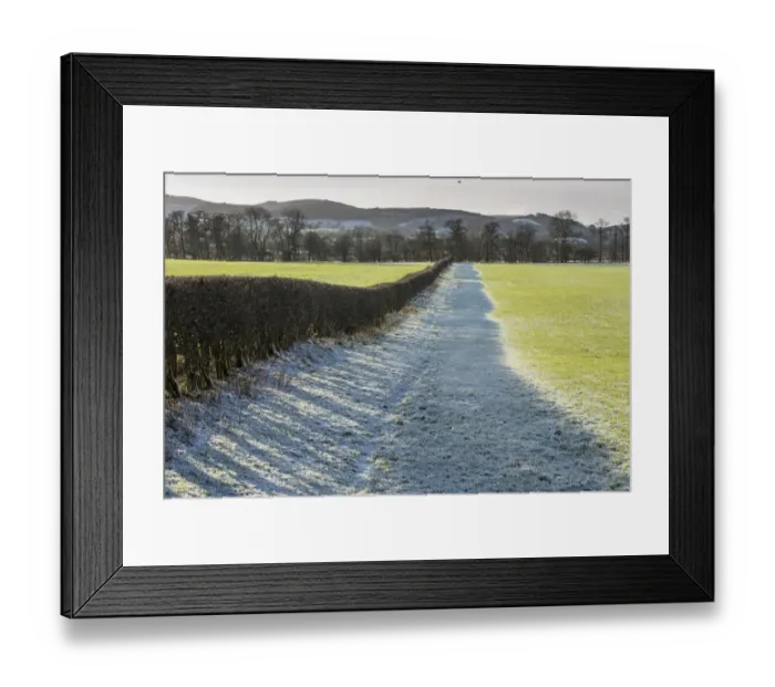 Framed Print : Frost covered field and hedgerow, near Thornhill, Dumfries and Galloway, Scotland, January Framed Print : Frost covered field and hedgerow, near Thornhill, Dumfries and Galloway, Scotland, January