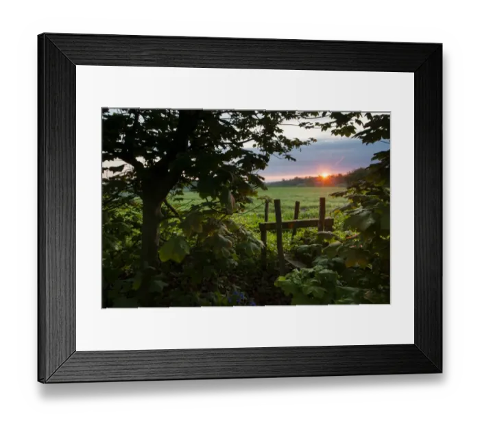 Framed Print : Stile leading from woodland to arable farmland at sunrise, Kent, England, April Framed Print : Stile leading from woodland to arable farmland at sunrise, Kent, England, April