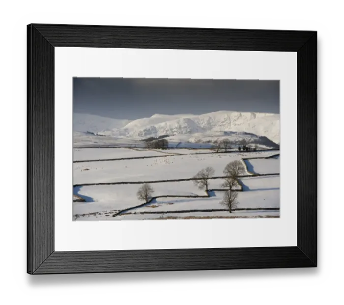 Framed Print : View of snow covered farmland with drystone walls, sheep flock and distant fells, near Shap, Cumbria, England, January Framed Print : View of snow covered farmland with drystone walls, sheep flock and distant fells, near Shap, Cumbria, England, January