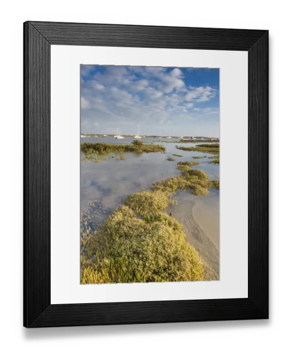 Framed Print : View of estuary saltmarsh habitat and boats with rising tide, Brancaster Staithe, Norfolk, England, September Framed Print : View of estuary saltmarsh habitat and boats with rising tide, Brancaster Staithe, Norfolk, England, September