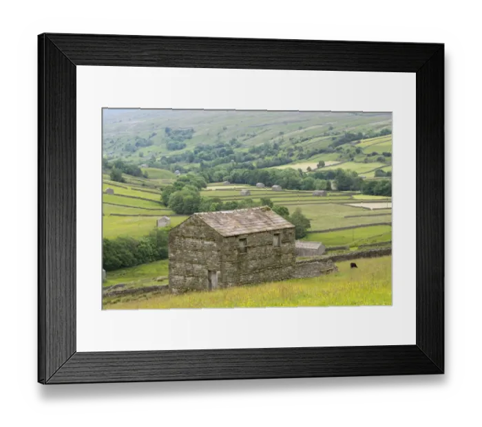Framed Print : Stone barn, fields and drystone walls, view of Swaledale from above Thwaite, Yorkshire Dales N. P Framed Print : Stone barn, fields and drystone walls, view of Swaledale from above Thwaite, Yorkshire Dales N. P