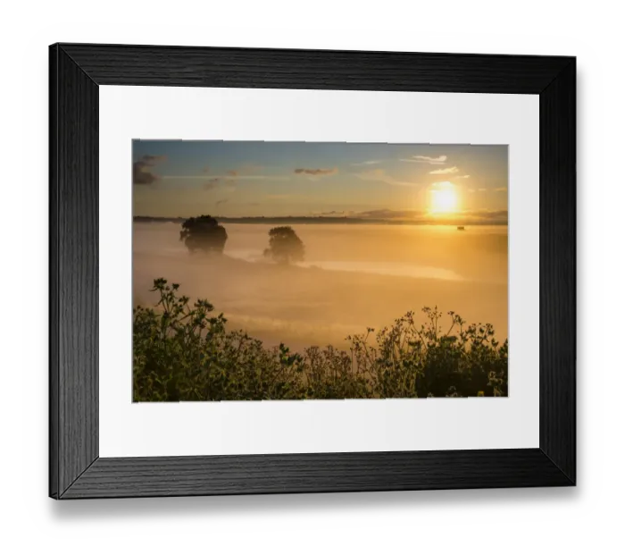 Framed Print : View of coastal grazing marsh habitat in mist at sunrise, Elmley Marshes N. N. R Framed Print : View of coastal grazing marsh habitat in mist at sunrise, Elmley Marshes N. N. R