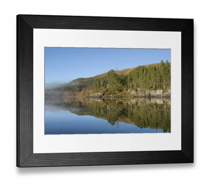 Framed Print : View of freshwater loch, with Scots Pine (Pinus forest in mist at dawn, Loch Beinn a Mheadhoin, Glen Affric) Framed Print : View of freshwater loch, with Scots Pine (Pinus forest in mist at dawn, Loch Beinn a Mheadhoin, Glen Affric)
