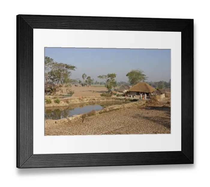Framed Print : Village water storage pond, house and subsistence fields, Sundarbans, Ganges Delta, West Bengal, India, March