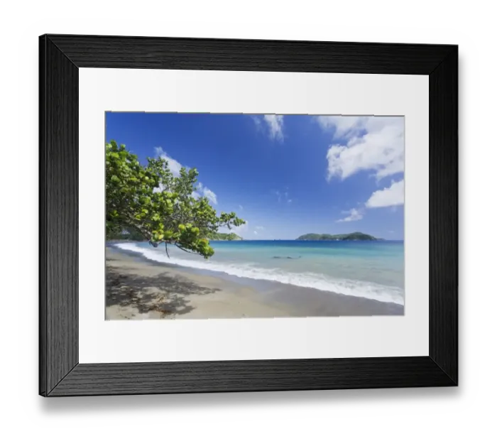 Framed Print : View of sandy beach, looking towards Little Tobago, Speyside, Tobago, Trinidad and Tobago, November Framed Print : View of sandy beach, looking towards Little Tobago, Speyside, Tobago, Trinidad and Tobago, November