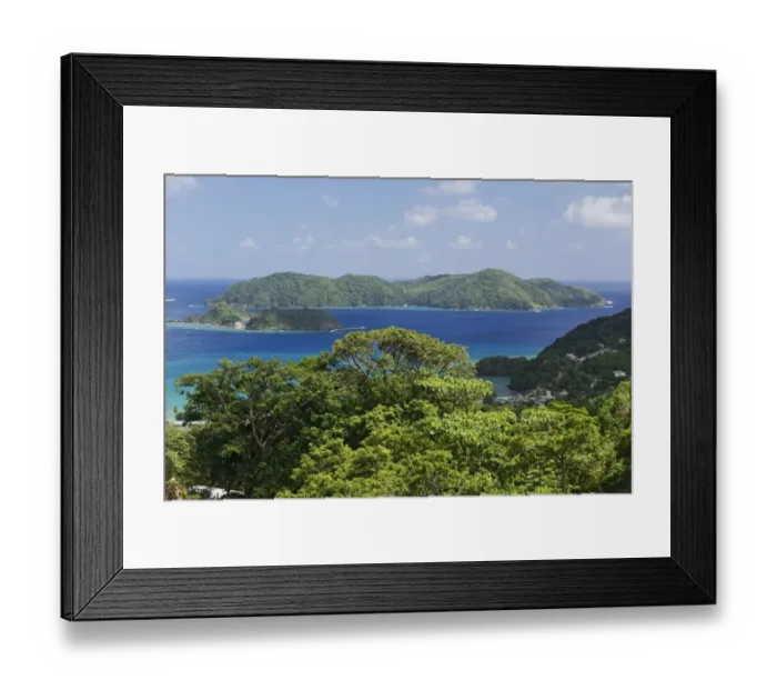 Framed Print : View of forested coastline, looking towards Little Tobago, Speyside, Tobago, Trinidad and Tobago, November Framed Print : View of forested coastline, looking towards Little Tobago, Speyside, Tobago, Trinidad and Tobago, November