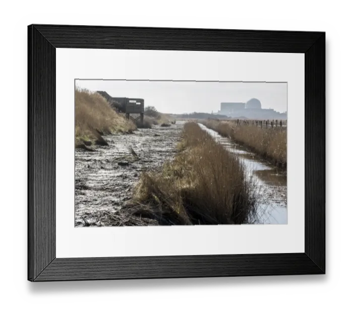 Framed Print : Public hide at RSPB Minsmere Suffolk with Sizewell Power station. Newly cleared dyke Framed Print : Public hide at RSPB Minsmere Suffolk with Sizewell Power station. Newly cleared dyke
