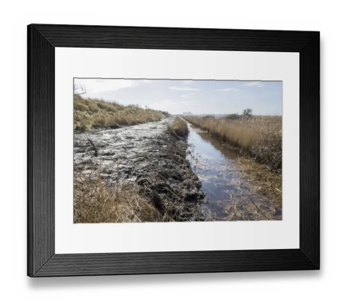 Framed Print : Public hide at RSPB Minsmere Suffolk with Sizewell Nuclear Power station. Newly cleared dyke Framed Print : Public hide at RSPB Minsmere Suffolk with Sizewell Nuclear Power station. Newly cleared dyke