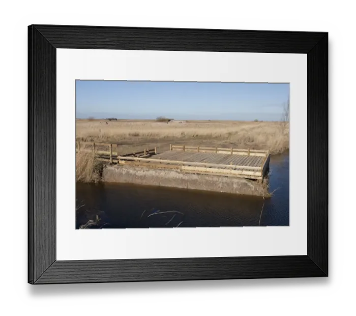 Framed Print : New pond-dipping platform in coastal marshland, Cley Marshes Reserve, Cley-next-the-Sea, Norfolk, England, February Framed Print : New pond-dipping platform in coastal marshland, Cley Marshes Reserve, Cley-next-the-Sea, Norfolk, England, February