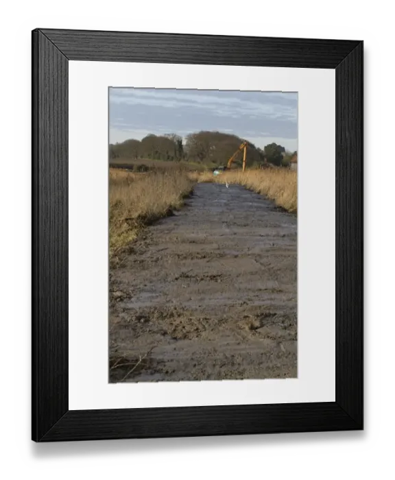 Framed Print : Dyke clearance in coastal marshland, with Grey Heron (Ardea cinerea) waiting for eels to be exposed Framed Print : Dyke clearance in coastal marshland, with Grey Heron (Ardea cinerea) waiting for eels to be exposed