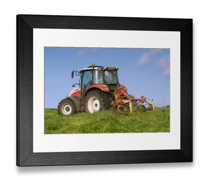 Framed Print : Steyr tractor with tedder, turning grass in upland hay meadow, Cumbria, England, July Framed Print : Steyr tractor with tedder, turning grass in upland hay meadow, Cumbria, England, July