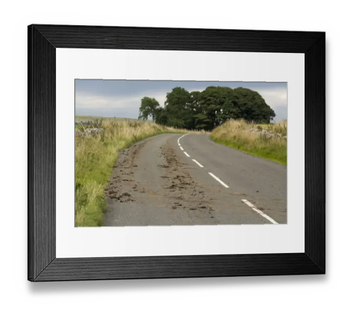 Framed Print : Mud on main road, after tractor coming out of field with mud on tyres, Cumbria, England, September Framed Print : Mud on main road, after tractor coming out of field with mud on tyres, Cumbria, England, September