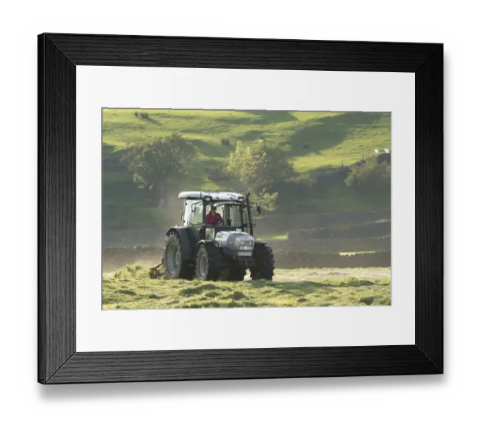 Framed Print : Hurlimann tractor with tedder, turning grass in upland hay meadow, Swaledale, Yorkshire Dales N. P Framed Print : Hurlimann tractor with tedder, turning grass in upland hay meadow, Swaledale, Yorkshire Dales N. P