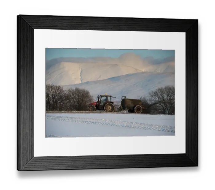 Framed Print : Tractor with muckspreader, spreading slurry on snow covered field in evening sunlight, Howgill Fells, Cumbria, England Framed Print : Tractor with muckspreader, spreading slurry on snow covered field in evening sunlight, Howgill Fells, Cumbria, England