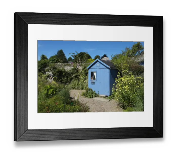 Framed Print : Blue shed in cottage garden, Saint-Valery-sur-Somme, Baie de Somme, Somme, Picardy, France, August Framed Print : Blue shed in cottage garden, Saint-Valery-sur-Somme, Baie de Somme, Somme, Picardy, France, August