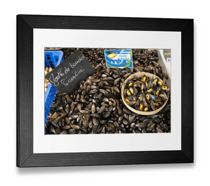 Framed Print : Moules de Bouchot mussels on fish market stall, Manche, Basse-Normandie, Normandy, France, October Framed Print : Moules de Bouchot mussels on fish market stall, Manche, Basse-Normandie, Normandy, France, October