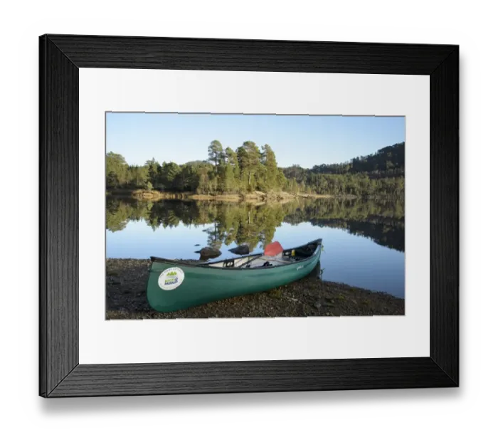 Framed Print : Canoe on shore of freshwater loch, with Scots Pine (Pinus sylvestris) forest in background, Loch Beinn a Mheadhoin Framed Print : Canoe on shore of freshwater loch, with Scots Pine (Pinus sylvestris) forest in background, Loch Beinn a Mheadhoin