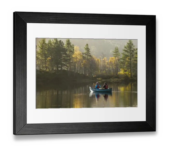 Framed Print : Couple canoeing on freshwater loch, with Scots Pine (Pinus sylvestris) and Silver Birch (Betula forest on shore)