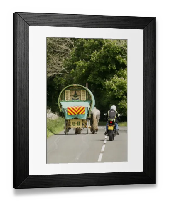 Framed Print : Motorcyclist overtaking horse drawn traveller caravan on rural road, Cumbria, England, June Framed Print : Motorcyclist overtaking horse drawn traveller caravan on rural road, Cumbria, England, June