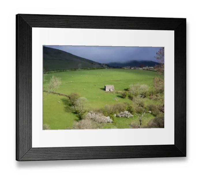 Framed Print : View of upland farmland with stone barn and sheep grazing in pasture, Howgills, near Ravenstonedale, Cumbria, England Framed Print : View of upland farmland with stone barn and sheep grazing in pasture, Howgills, near Ravenstonedale, Cumbria, England