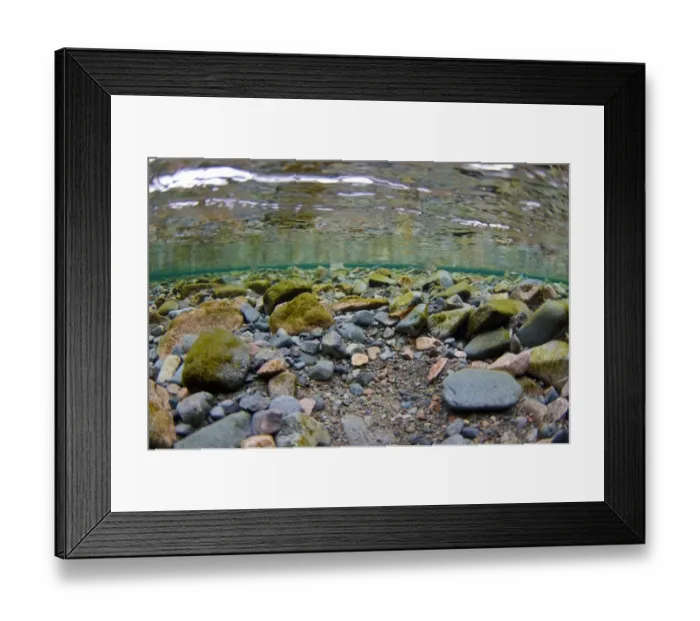 Framed Print : Underwater view of stony riverbed in river flowing into glacial lake, River Liza, Ennerdale Water, Lake District N. P Framed Print : Underwater view of stony riverbed in river flowing into glacial lake, River Liza, Ennerdale Water, Lake District N. P