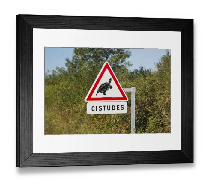 Framed Print : European Pond Terrapin (Emys orbicularis) Cistudes warning sign beside road, Parc Naturel Regional de la Brenne, Indre Framed Print : European Pond Terrapin (Emys orbicularis) Cistudes warning sign beside road, Parc Naturel Regional de la Brenne, Indre