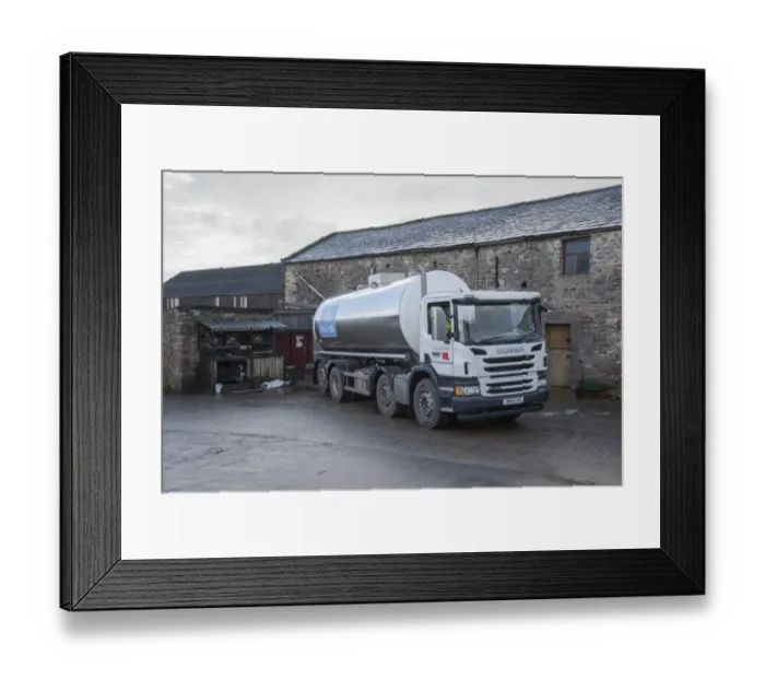 Framed Print : Dairy farming, First Milk tanker collecting milk from farm, Church Brough, Kirkby Stephen, Cumbria, England, December Framed Print : Dairy farming, First Milk tanker collecting milk from farm, Church Brough, Kirkby Stephen, Cumbria, England, December