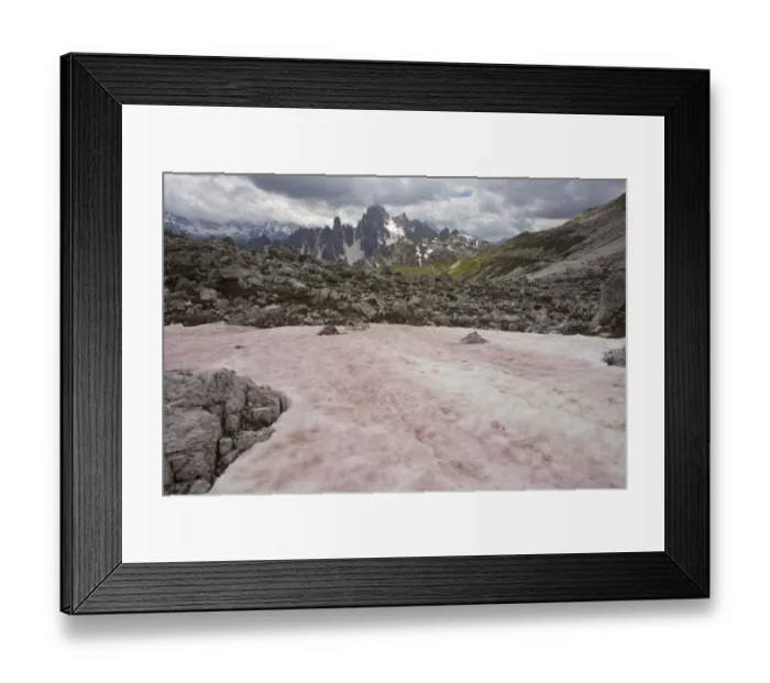 Framed Print : Red Snow or Watermelon Snow, caused by Flagellate Alga (Chlamydomonas nivalis), Tre Cime, Dolomites, Italian Alps Framed Print : Red Snow or Watermelon Snow, caused by Flagellate Alga (Chlamydomonas nivalis), Tre Cime, Dolomites, Italian Alps