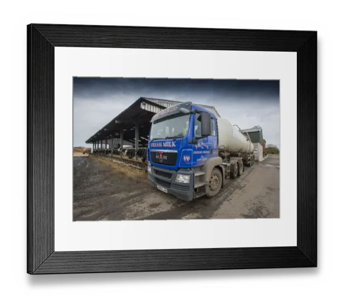 Framed Print : Dairy farming, milk tanker lorry collecting milk from dairy farm, Cheshire, England, February Framed Print : Dairy farming, milk tanker lorry collecting milk from dairy farm, Cheshire, England, February