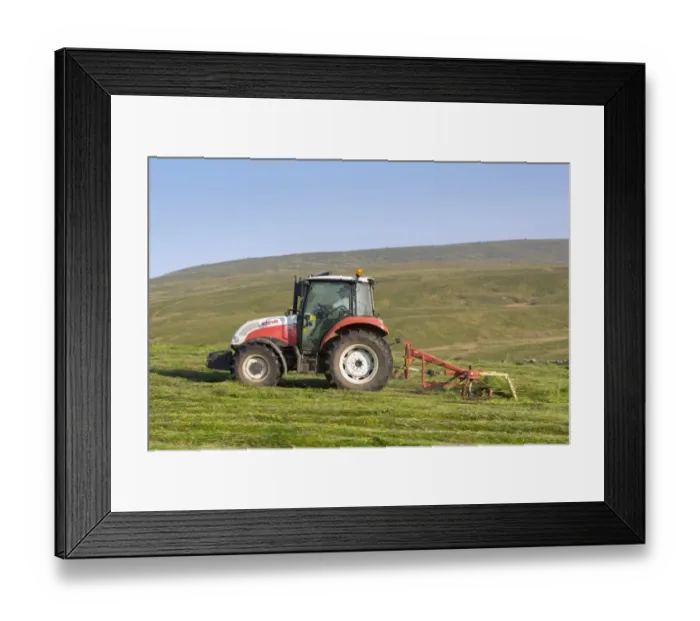 Framed Print : Steyr tractor with tedder, turning grass in upland hay meadow, Cumbria, England, July Framed Print : Steyr tractor with tedder, turning grass in upland hay meadow, Cumbria, England, July