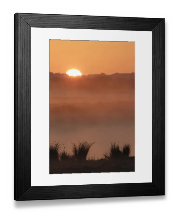 Framed Print : View of mist over water at sunrise, on site of former opencast coal mine, St Framed Print : View of mist over water at sunrise, on site of former opencast coal mine, St