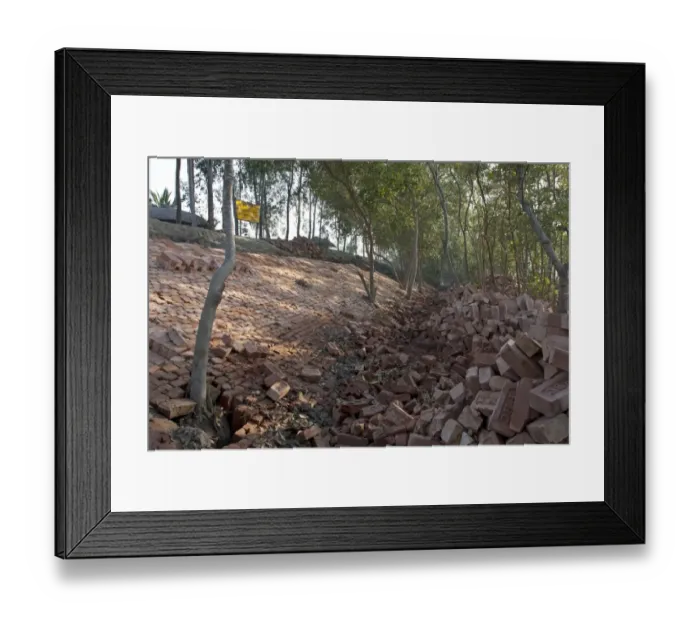 Framed Print : Bricks used for flood defence repairs, Sundarbans, Ganges Delta, West Bengal, India, March Framed Print : Bricks used for flood defence repairs, Sundarbans, Ganges Delta, West Bengal, India, March