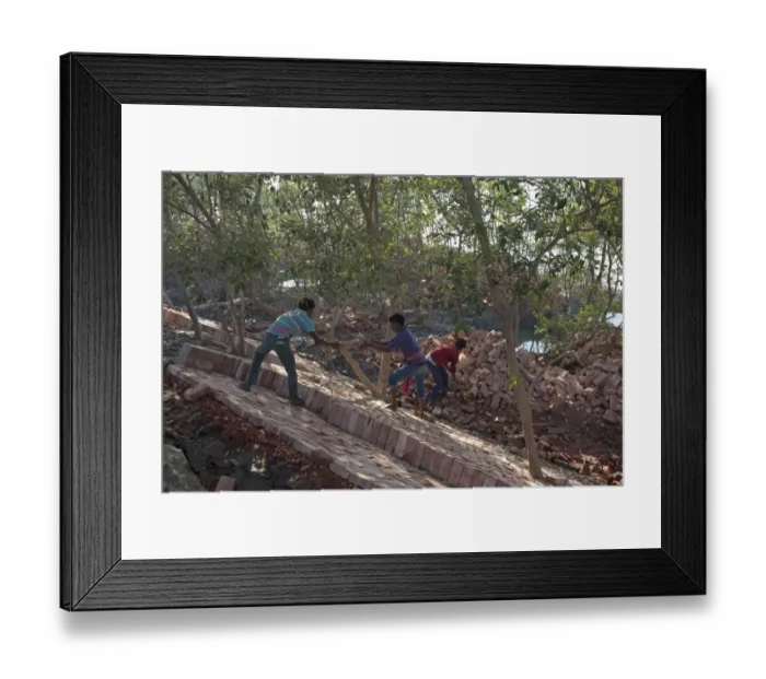 Framed Print : Workers with bricks used for flood defence repairs, Sundarbans, Ganges Delta, West Bengal, India, March Framed Print : Workers with bricks used for flood defence repairs, Sundarbans, Ganges Delta, West Bengal, India, March