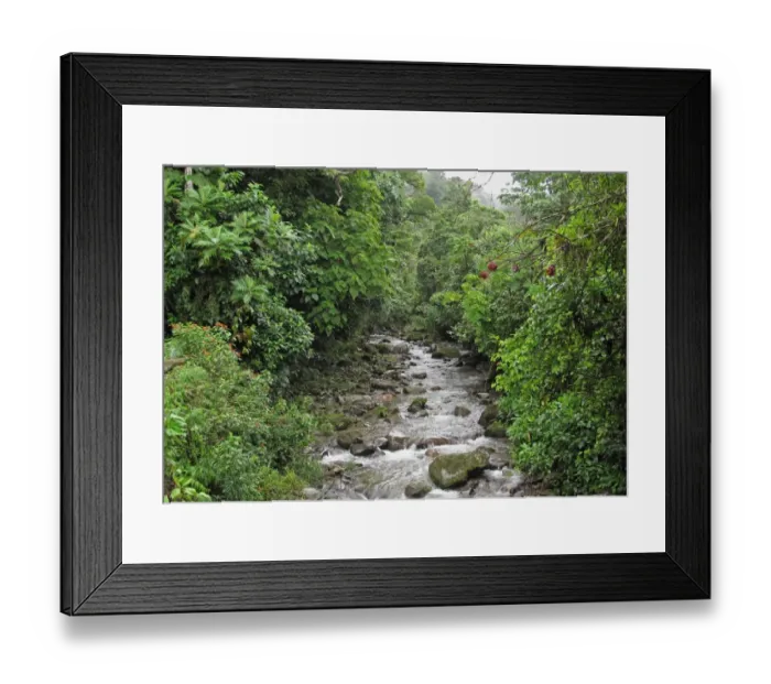 Framed Print : River flowing through tropical forest, Canopy Lodge, El Valle, Panama, October Framed Print : River flowing through tropical forest, Canopy Lodge, El Valle, Panama, October