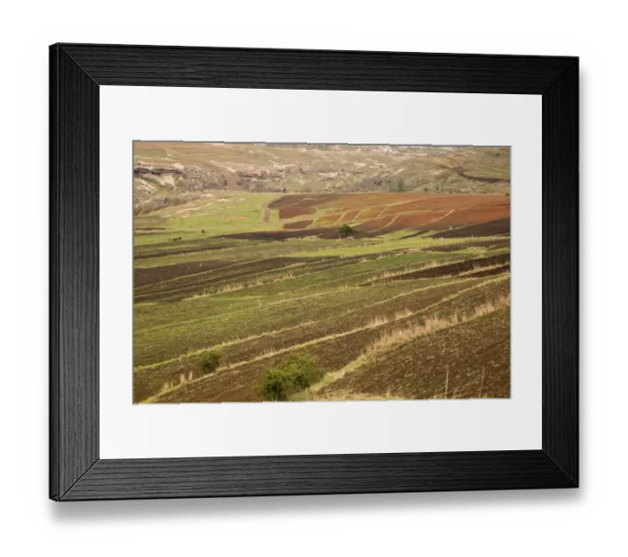 Framed Print : Small terraced arable fields in spring at high altitude, near Moteng, Drakensberg Mountains, Lesotho, November Framed Print : Small terraced arable fields in spring at high altitude, near Moteng, Drakensberg Mountains, Lesotho, November