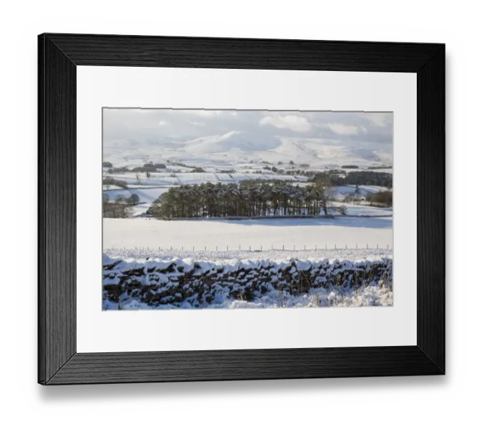 Framed Print : View over snow covered farmland and conifer trees, Ravenstonedale Common, Ravenstonedale, Cumbria, England, December