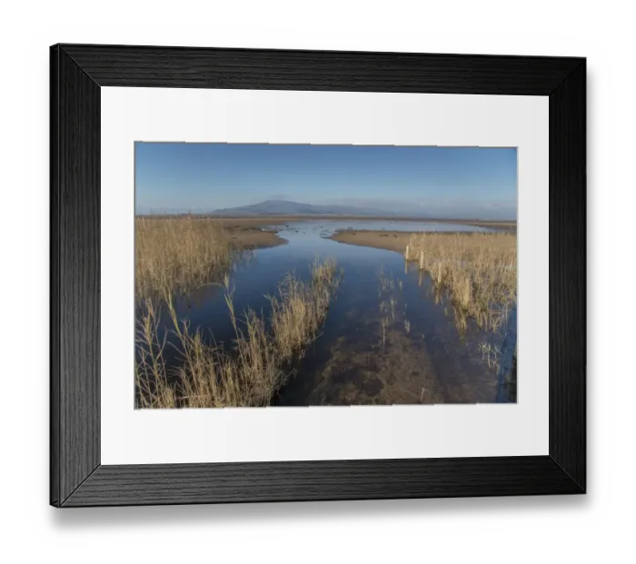 Framed Print : Freshwater stream flowing into estuary, Duddon Sands, Duddon Estuary, Sandscale Haws N. N. R. Cumbria, England, November