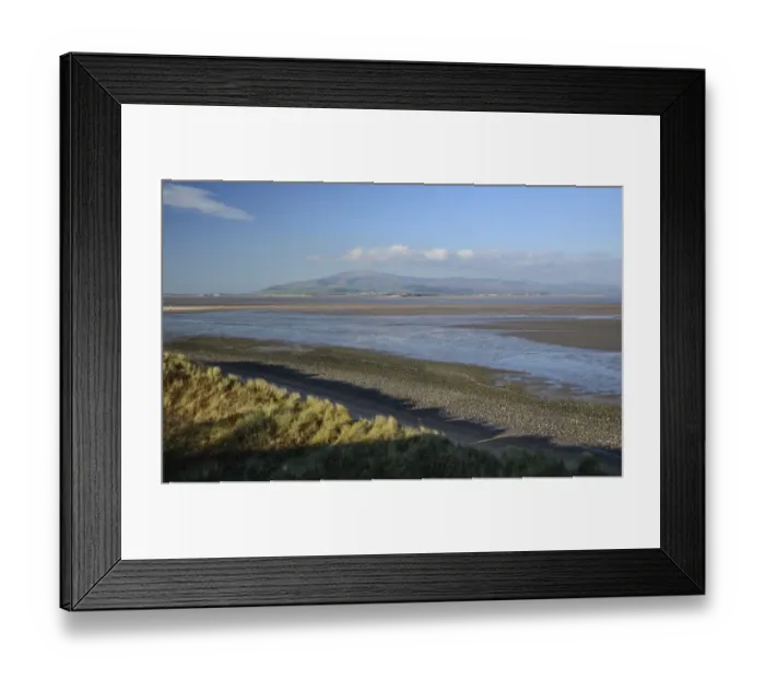 Framed Print : View of sand dunes and estuary, Duddon Sands, Duddon Estuary, Sandscale Haws N. N. R. Cumbria, England, November Framed Print : View of sand dunes and estuary, Duddon Sands, Duddon Estuary, Sandscale Haws N. N. R. Cumbria, England, November