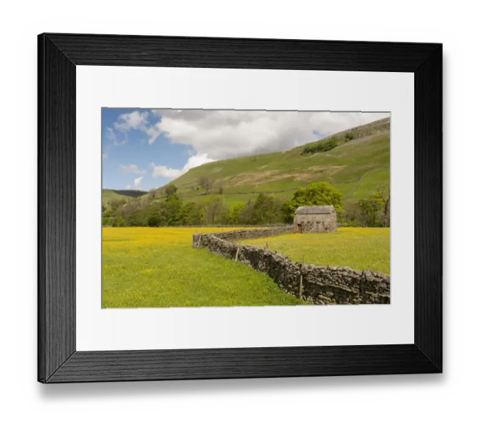 Framed Print : View of drystone walls, stone barn and traditional meadows with flowering buttercups, Muker, Swaledale Framed Print : View of drystone walls, stone barn and traditional meadows with flowering buttercups, Muker, Swaledale