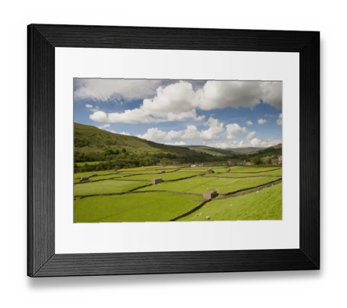 Framed Print : View of farmland with drystone walls, stone barns and sheep grazing in pasture, Gunnerside, Swaledale Framed Print : View of farmland with drystone walls, stone barns and sheep grazing in pasture, Gunnerside, Swaledale