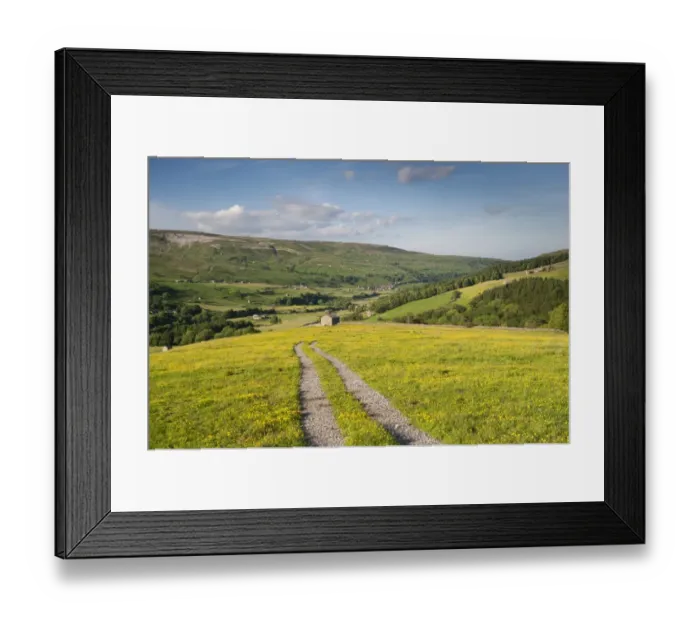 Framed Print : Farm track across upland hay meadow with flowering buttercups, Swaledale, Yorkshire Dales N. P Framed Print : Farm track across upland hay meadow with flowering buttercups, Swaledale, Yorkshire Dales N. P