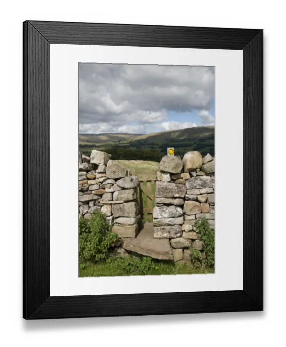 Framed Print : Stile and gate in drystone wall on public footpath, near Burtersett, Hawes, Wensleydale, Yorkshire Dales N. P Framed Print : Stile and gate in drystone wall on public footpath, near Burtersett, Hawes, Wensleydale, Yorkshire Dales N. P