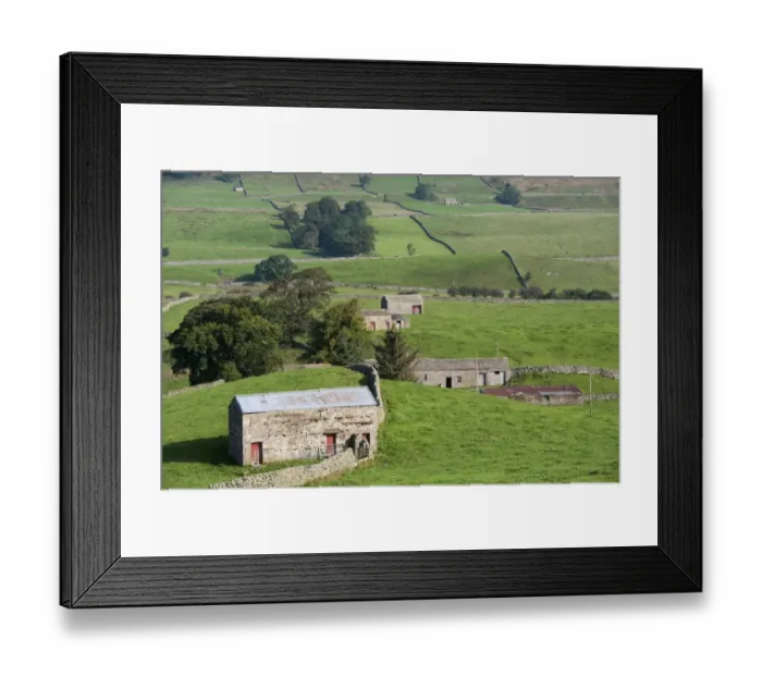 Framed Print : View of drystone walls and stone barns in farmland, Hawes, Wensleydale, Yorkshire Dales N. P