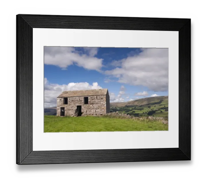 Framed Print : Derelict stone barn in farmland, Wensleydale, Yorkshire Dales N. P. North Yorkshire, England, August Framed Print : Derelict stone barn in farmland, Wensleydale, Yorkshire Dales N. P. North Yorkshire, England, August