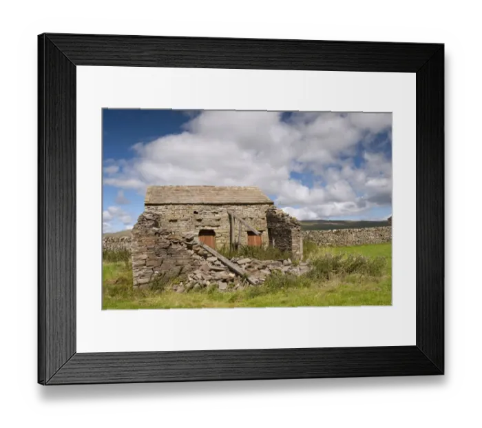 Framed Print : Derelict stone barn in farmland, Wensleydale, Yorkshire Dales N. P. North Yorkshire, England, August Framed Print : Derelict stone barn in farmland, Wensleydale, Yorkshire Dales N. P. North Yorkshire, England, August